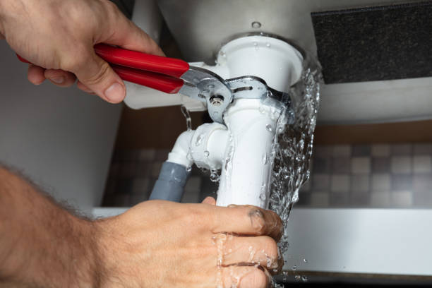 Best Water damage restoration services  in Iowa Falls, IA