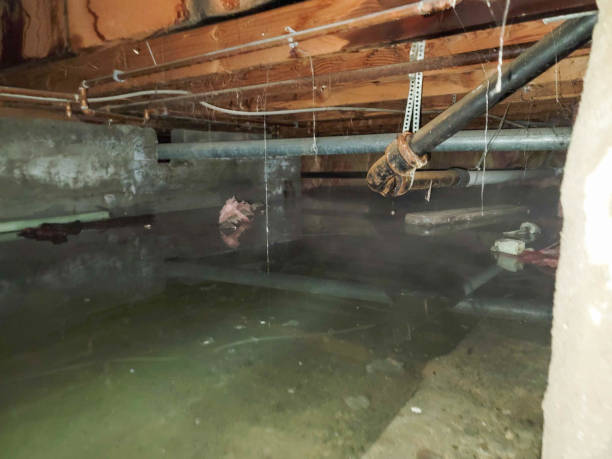 Best Commercial water damage restoration  in Iowa Falls, IA