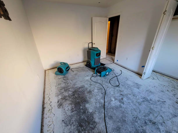 Best Carpet water damage restoration  in Iowa Falls, IA