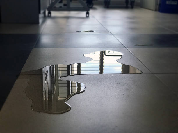 Best Emergency water damage restoration  in Iowa Falls, IA