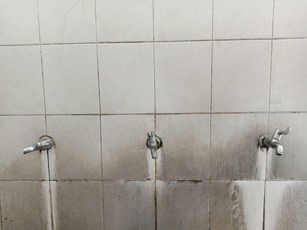 Professional Water damage restoration in Iowa Falls, IA