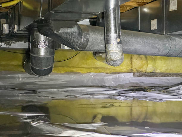 Best Flood damage cleanup  in Iowa Falls, IA