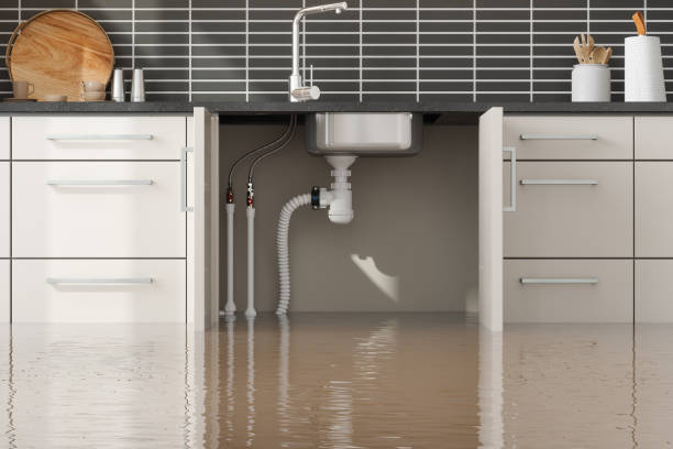 Best Emergency water extraction  in Iowa Falls, IA